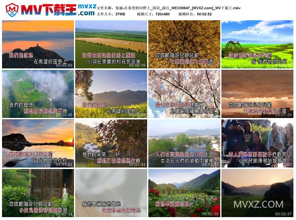 张丽-在希望的田野上_国语_流行_MEC00647